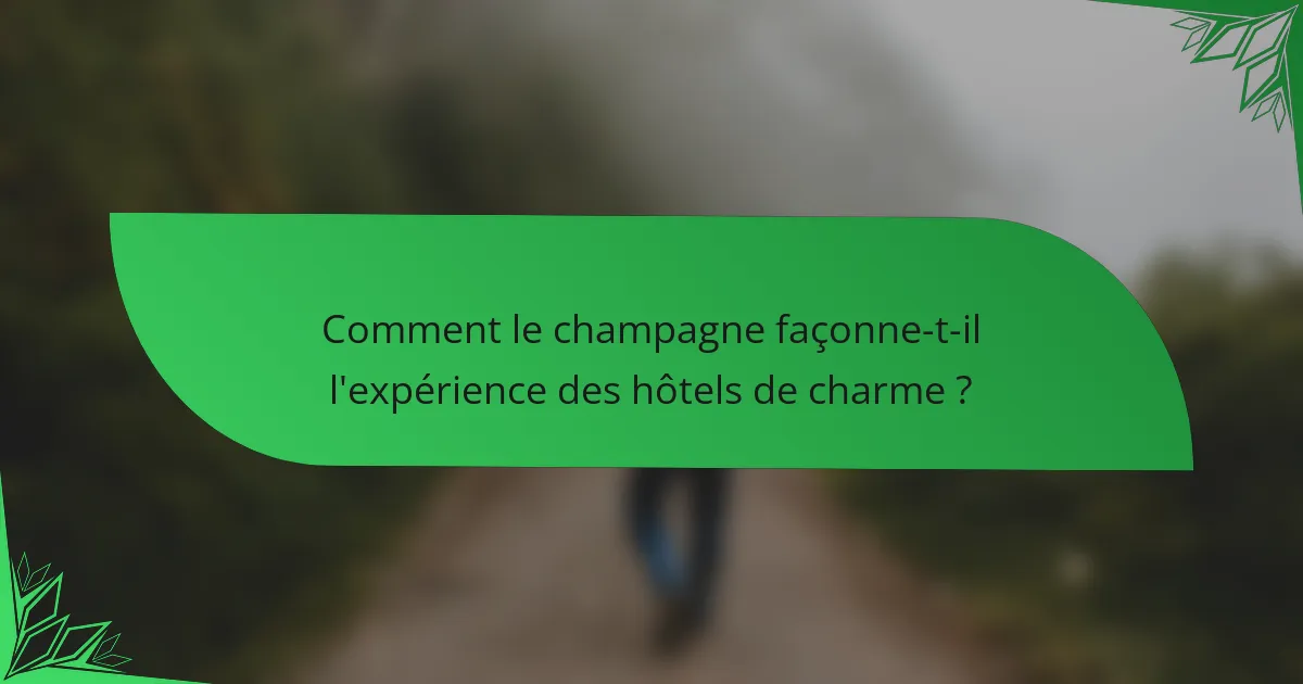 Comment le champagne façonne-t-il l'expérience des hôtels de charme ?