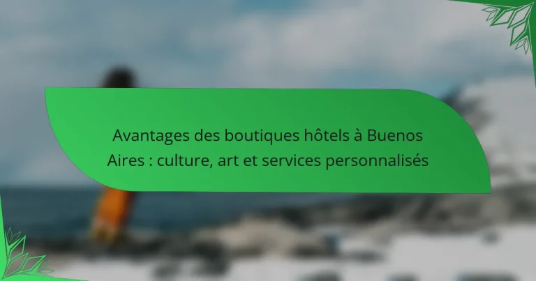 Avantages des boutiques hôtels à Buenos Aires : culture, art et services personnalisés