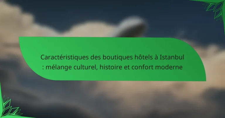 Caractéristiques des boutiques hôtels à Istanbul : mélange culturel, histoire et confort moderne