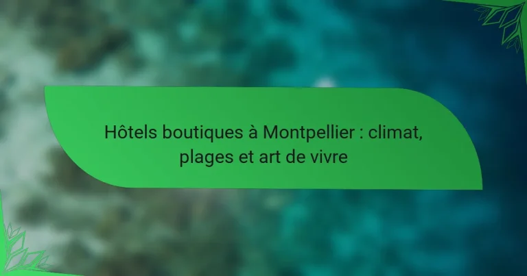 Hôtels boutiques à Montpellier : climat, plages et art de vivre