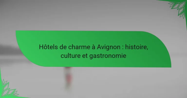 Hôtels de charme à Avignon : histoire, culture et gastronomie