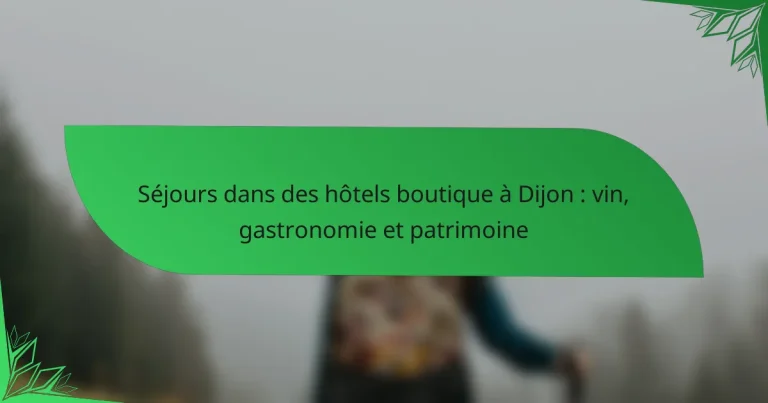 Séjours dans des hôtels boutique à Dijon : vin, gastronomie et patrimoine