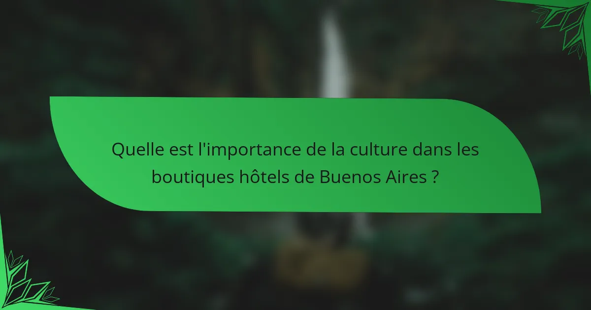 Quelle est l'importance de la culture dans les boutiques hôtels de Buenos Aires ?
