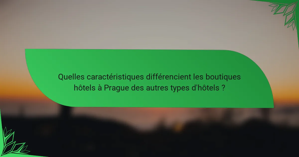 Quelles caractéristiques différencient les boutiques hôtels à Prague des autres types d'hôtels ?