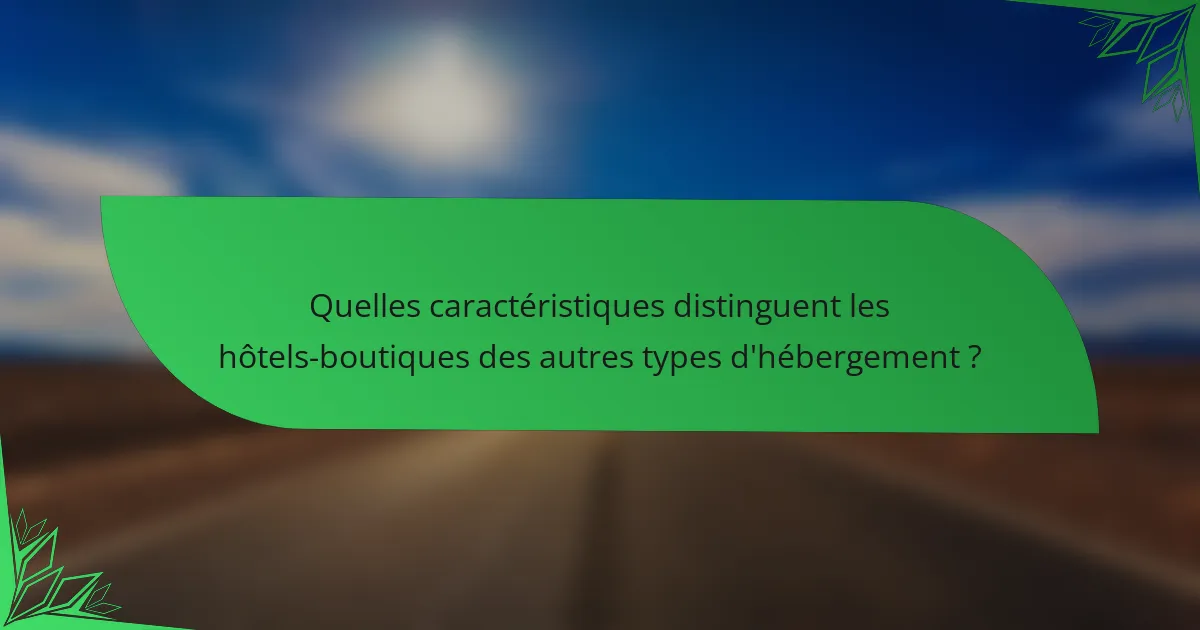Quelles caractéristiques distinguent les hôtels-boutiques des autres types d'hébergement ?