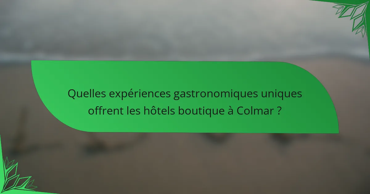 Quelles expériences gastronomiques uniques offrent les hôtels boutique à Colmar ?