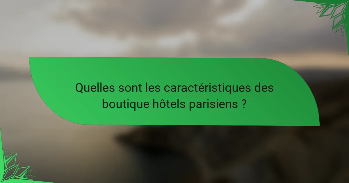 Quelles sont les caractéristiques des boutique hôtels parisiens ?