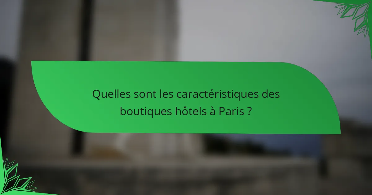 Quelles sont les caractéristiques des boutiques hôtels à Paris ?