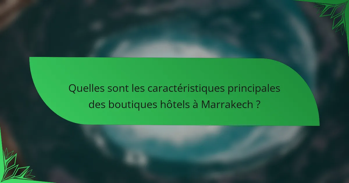 Quelles sont les caractéristiques principales des boutiques hôtels à Marrakech ?