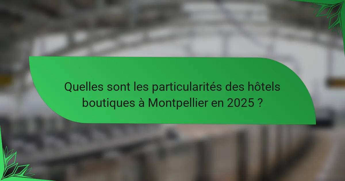 Quelles sont les particularités des hôtels boutiques à Montpellier en 2025 ?