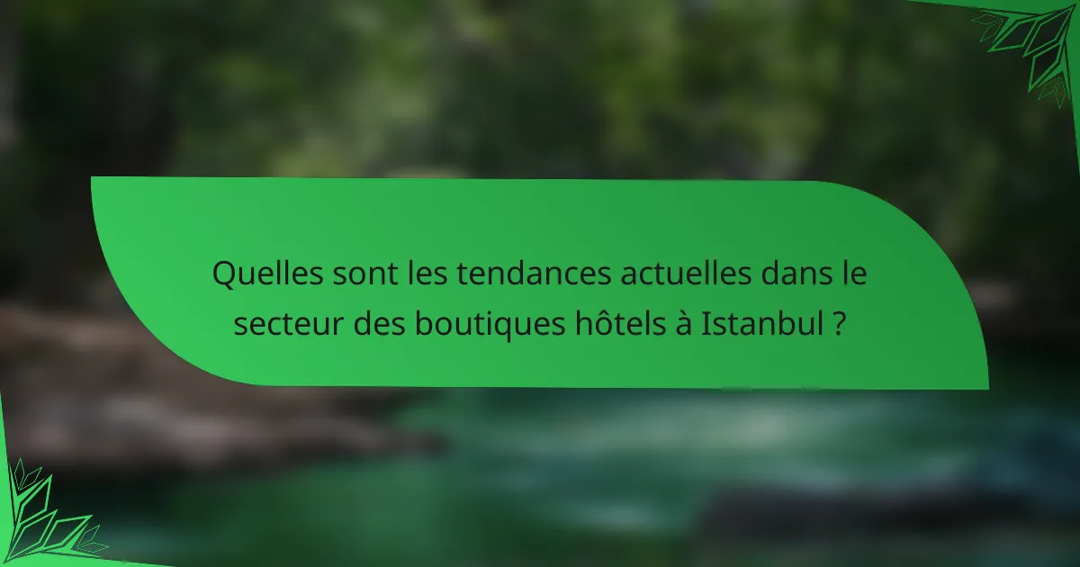 Quelles sont les tendances actuelles dans le secteur des boutiques hôtels à Istanbul ?