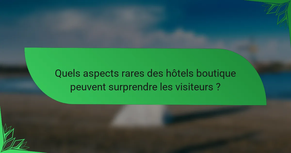 Quels aspects rares des hôtels boutique peuvent surprendre les visiteurs ?