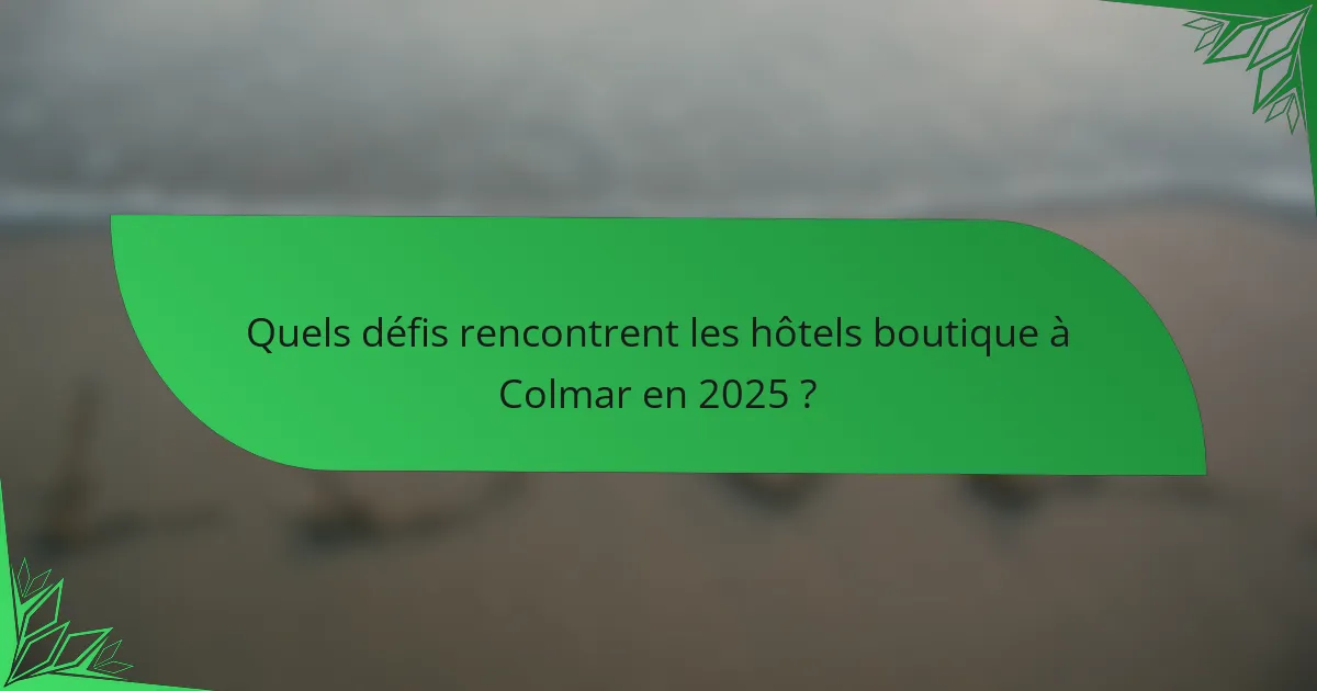 Quels défis rencontrent les hôtels boutique à Colmar en 2025 ?