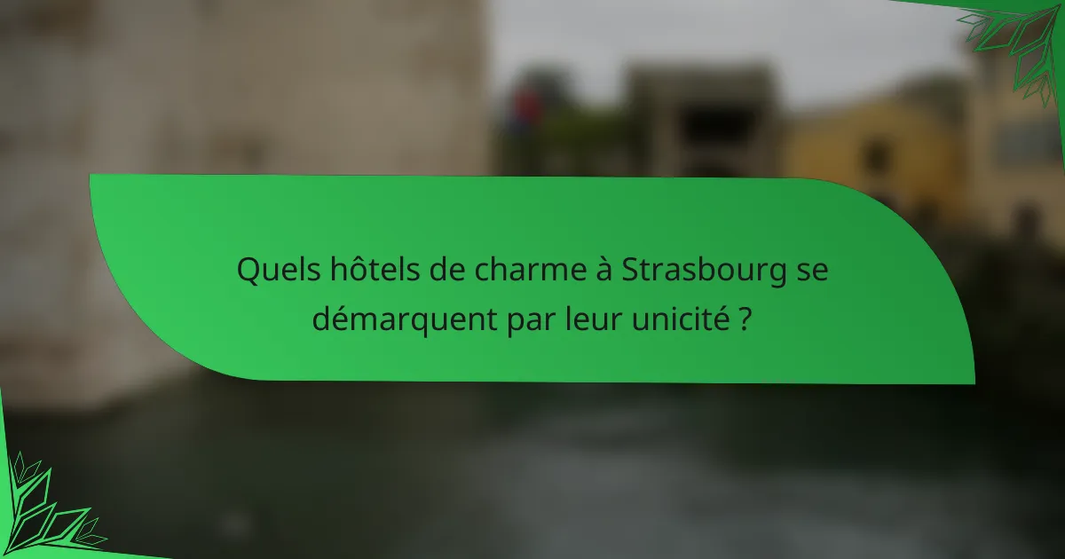 Quels hôtels de charme à Strasbourg se démarquent par leur unicité ?