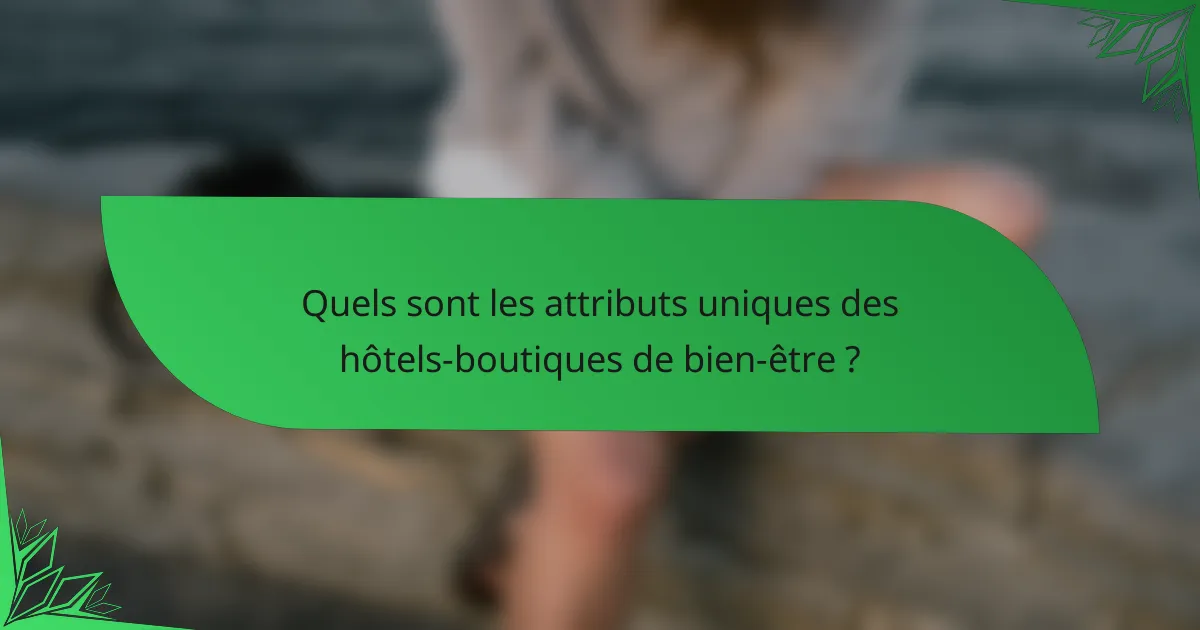 Quels sont les attributs uniques des hôtels-boutiques de bien-être ?
