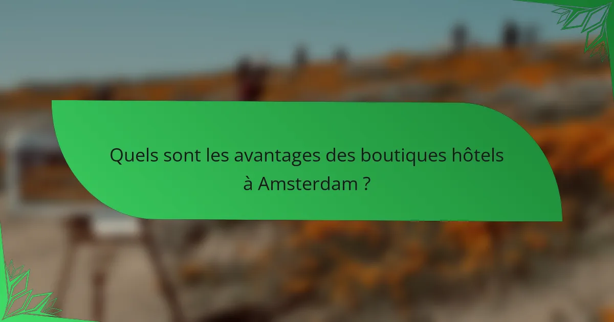 Quels sont les avantages des boutiques hôtels à Amsterdam ?