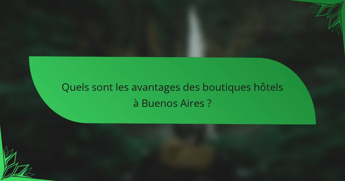 Quels sont les avantages des boutiques hôtels à Buenos Aires ?