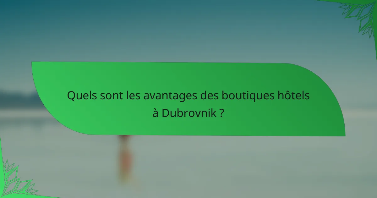 Quels sont les avantages des boutiques hôtels à Dubrovnik ?