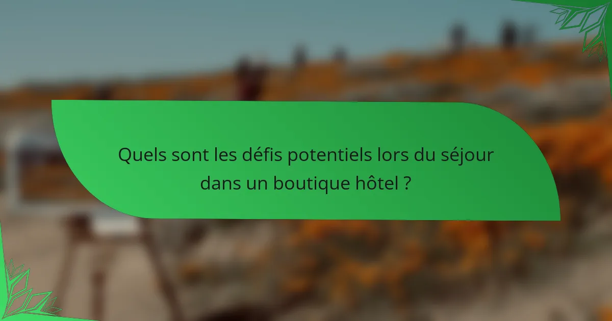 Quels sont les défis potentiels lors du séjour dans un boutique hôtel ?