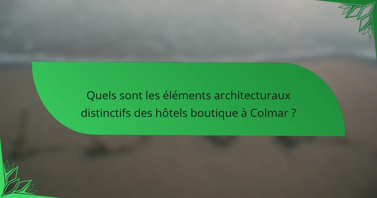 Quels sont les éléments architecturaux distinctifs des hôtels boutique à Colmar ?