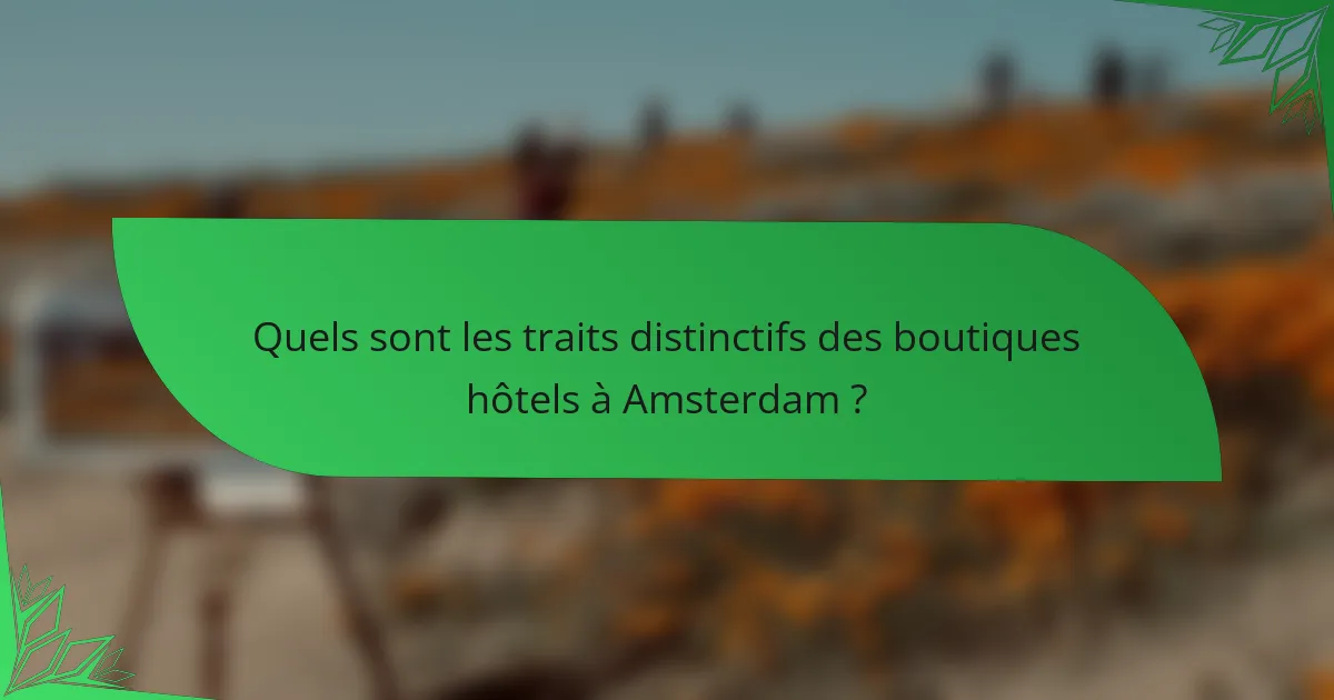 Quels sont les traits distinctifs des boutiques hôtels à Amsterdam ?