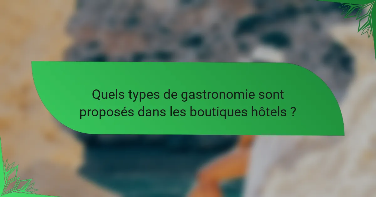 Quels types de gastronomie sont proposés dans les boutiques hôtels ?